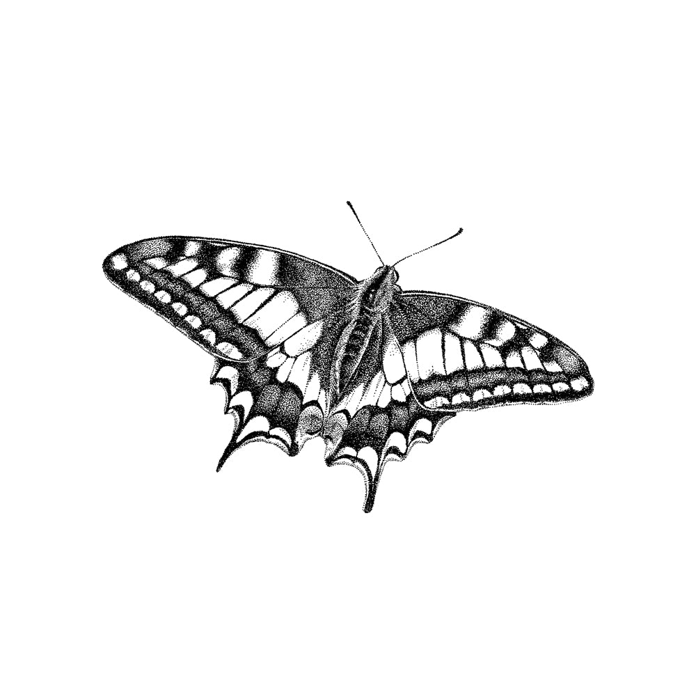 Wandtattoo Schwalbenschwanz-Schmetterling