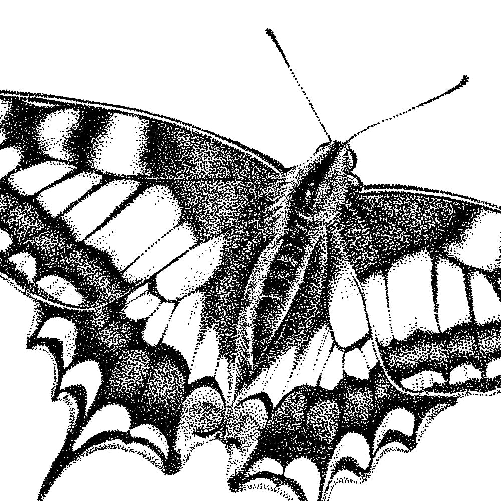 Wandtattoo Schwalbenschwanz-Schmetterling