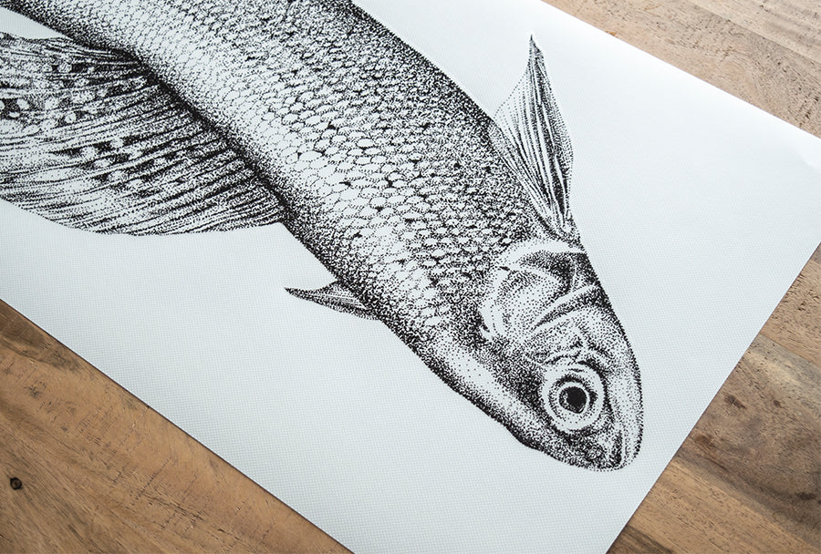 Grayling wall sticker