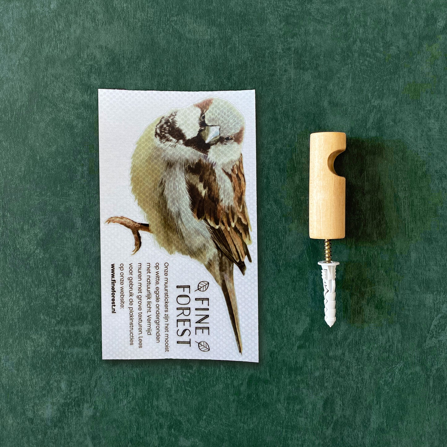 Wall peg sparrow (colour)