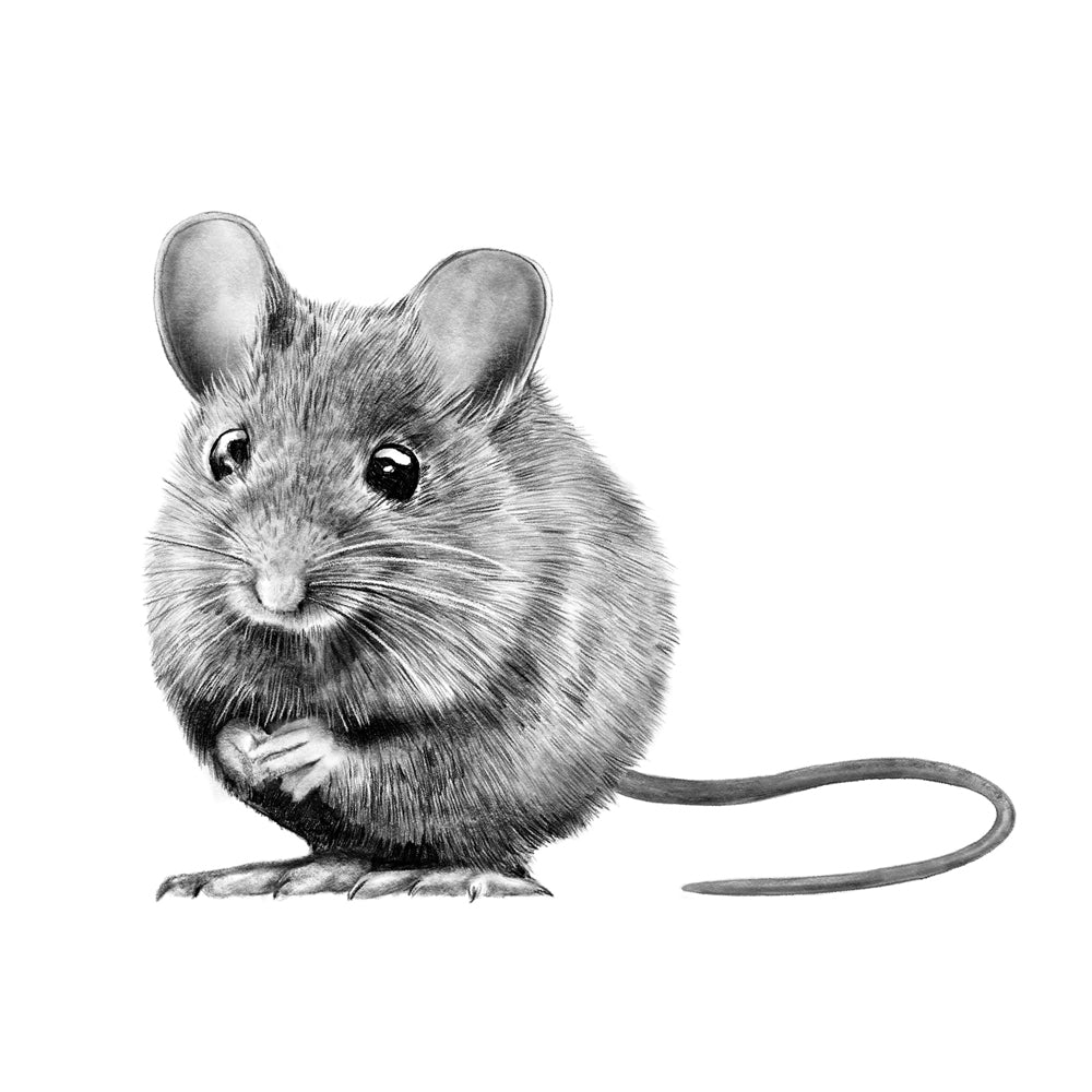 Wandtattoo Waldmaus