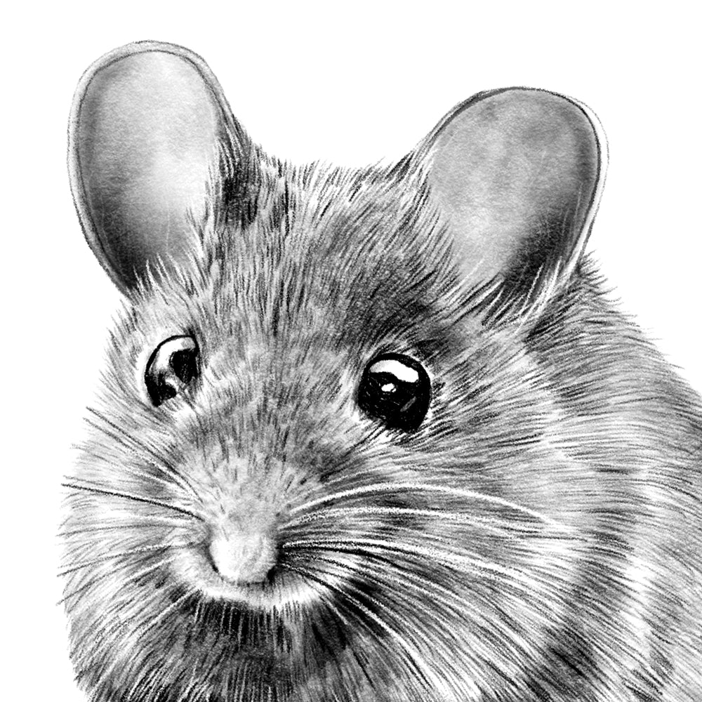 Wandtattoo Waldmaus