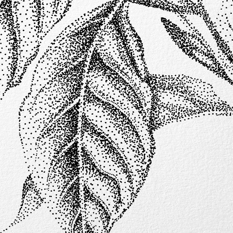 Coffee plant wall sticker