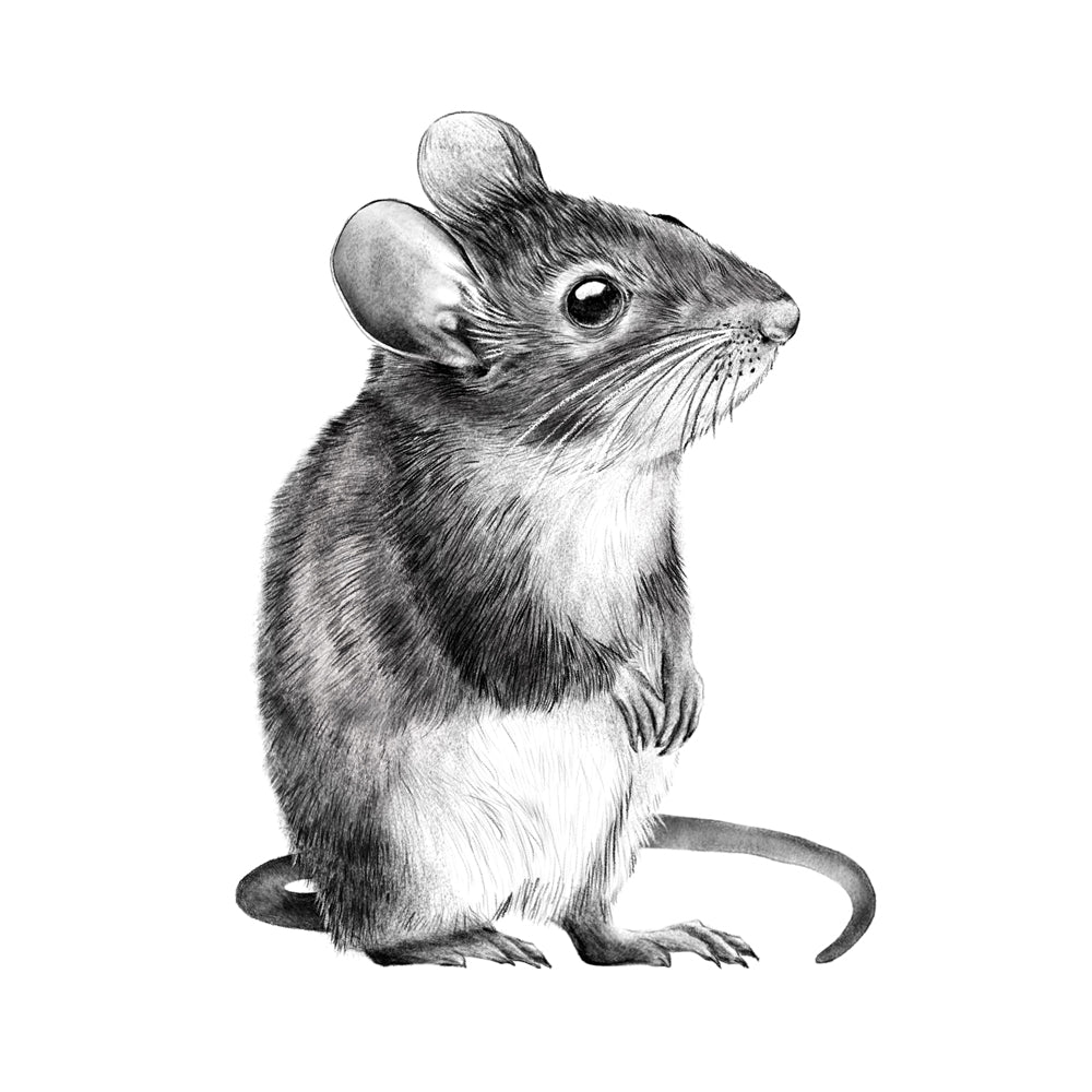 Wandtattoo Waldmaus #2