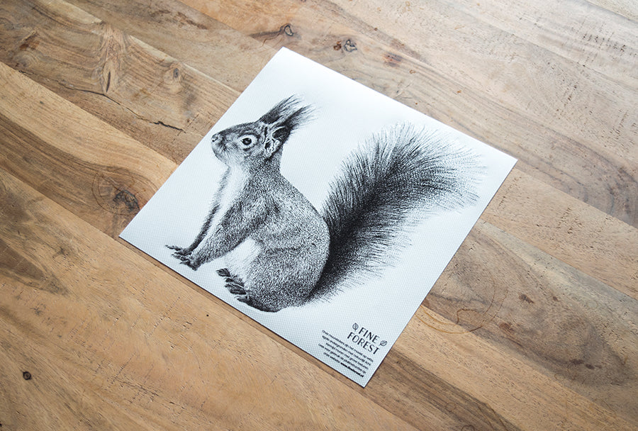 Squirrel wall sticker