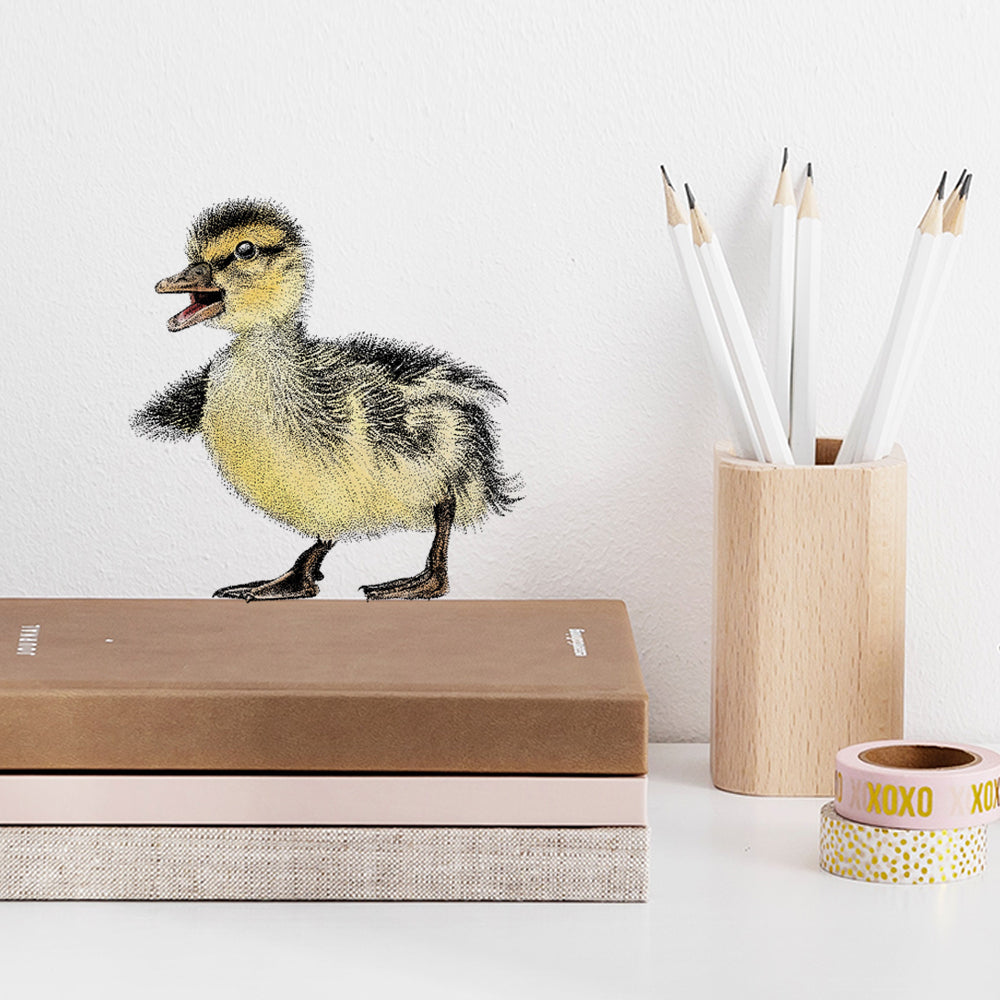 Duckling wall sticker