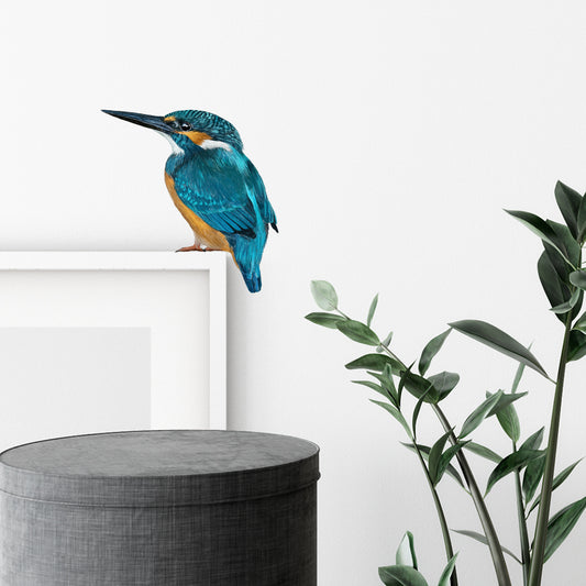 Kingfisher wall sticker (colour)