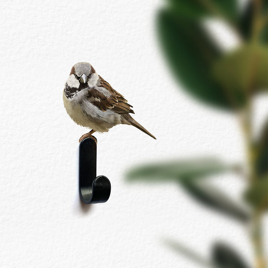 Wall peg sparrow (colour)