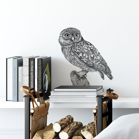 Little owl wall sticker