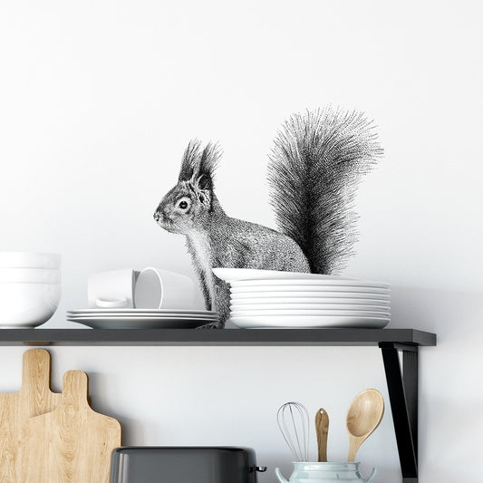 Squirrel wall sticker