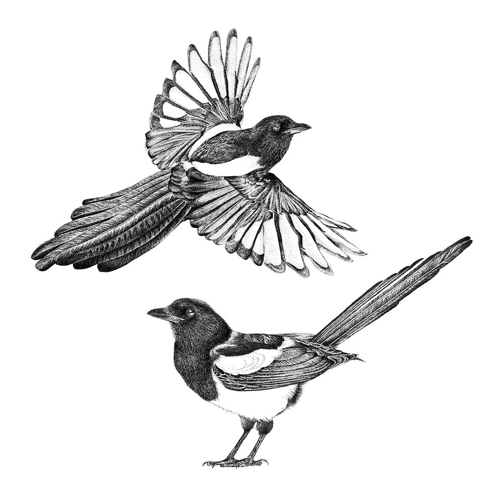 Magpie wall sticker set