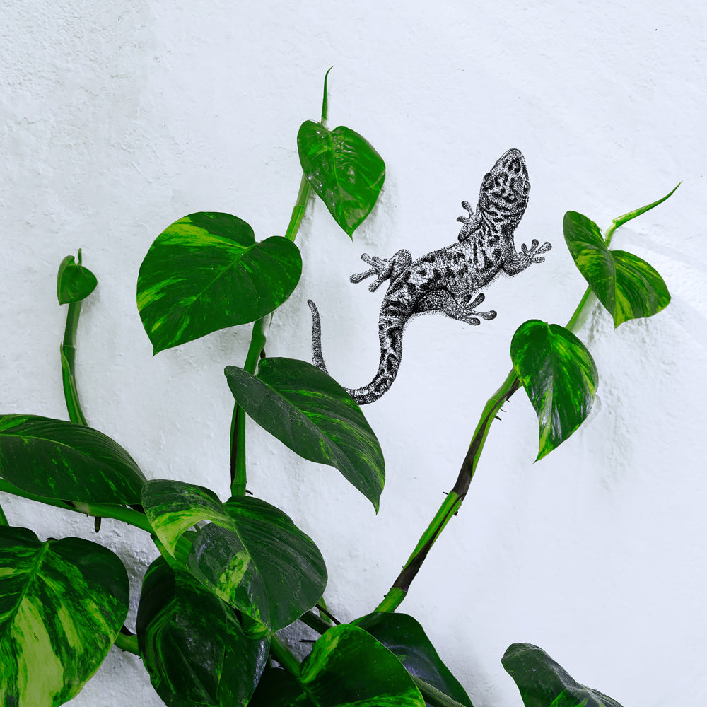 Gecko wall sticker