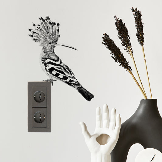 Hoopoe wall sticker