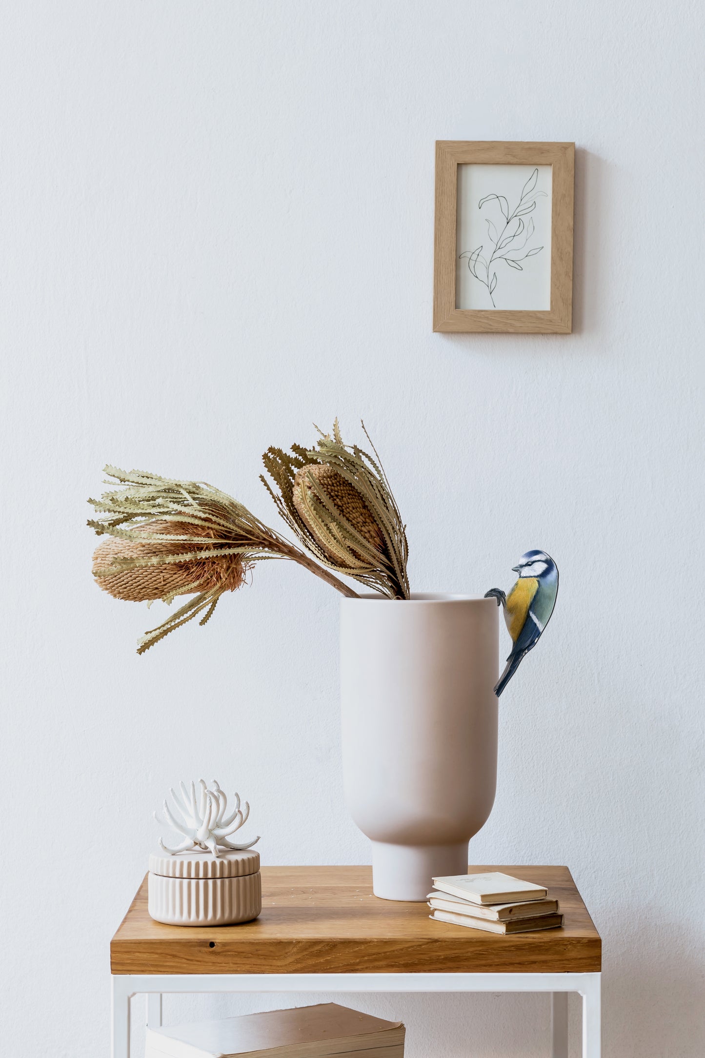 Blue tit plant pot hanger