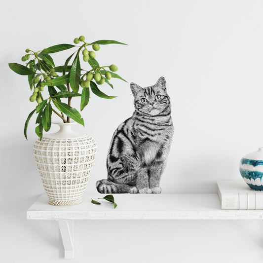 British shorthair wall sticker