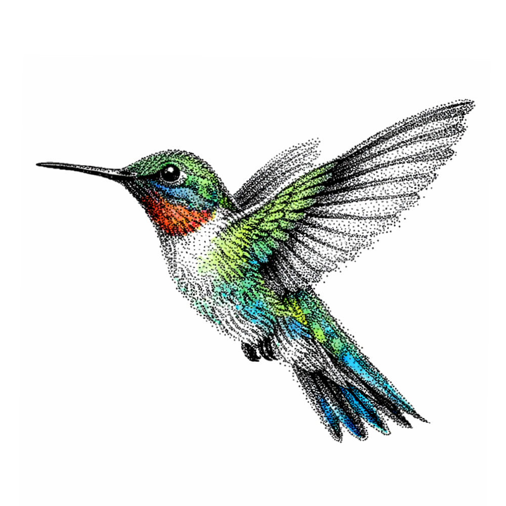 Wandtattoo Kolibri