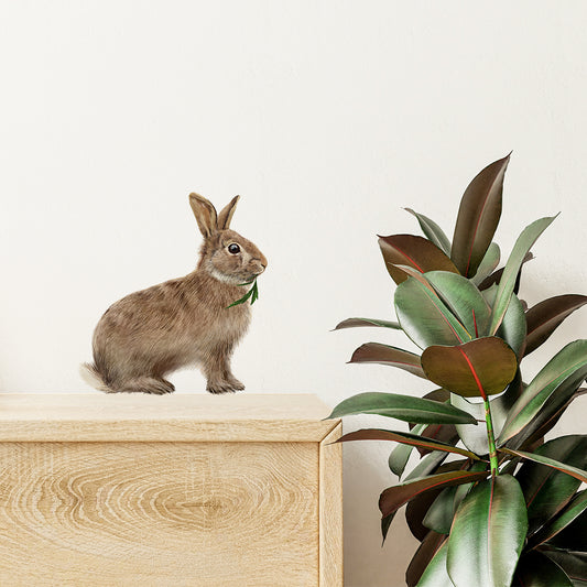 Baby bunny wall sticker