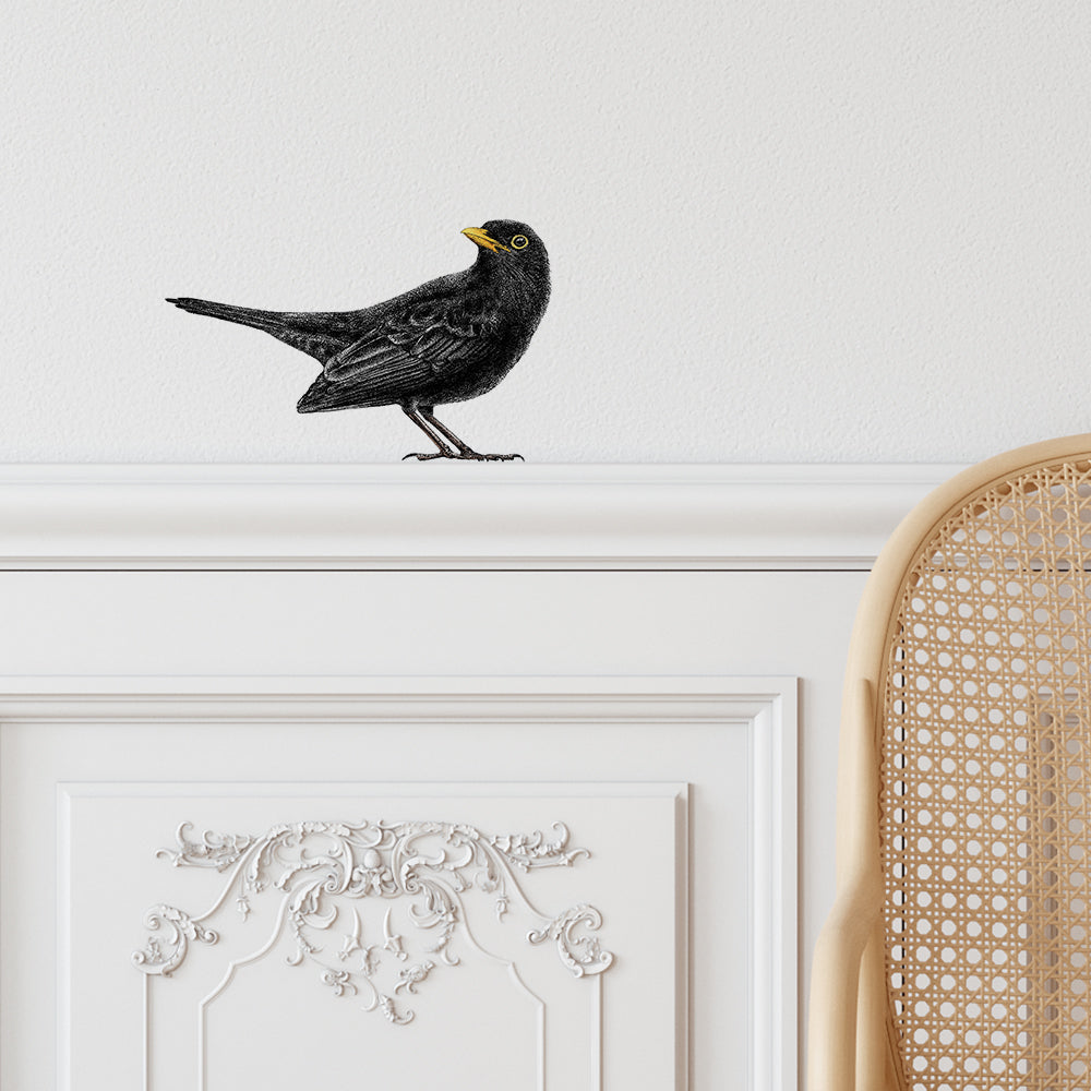 Blackbird wall sticker