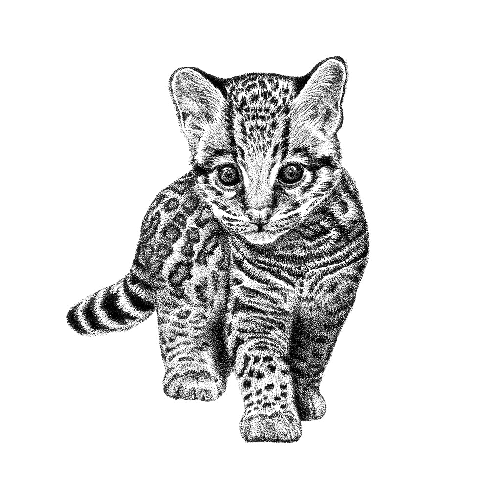 Ocelot wall sticker