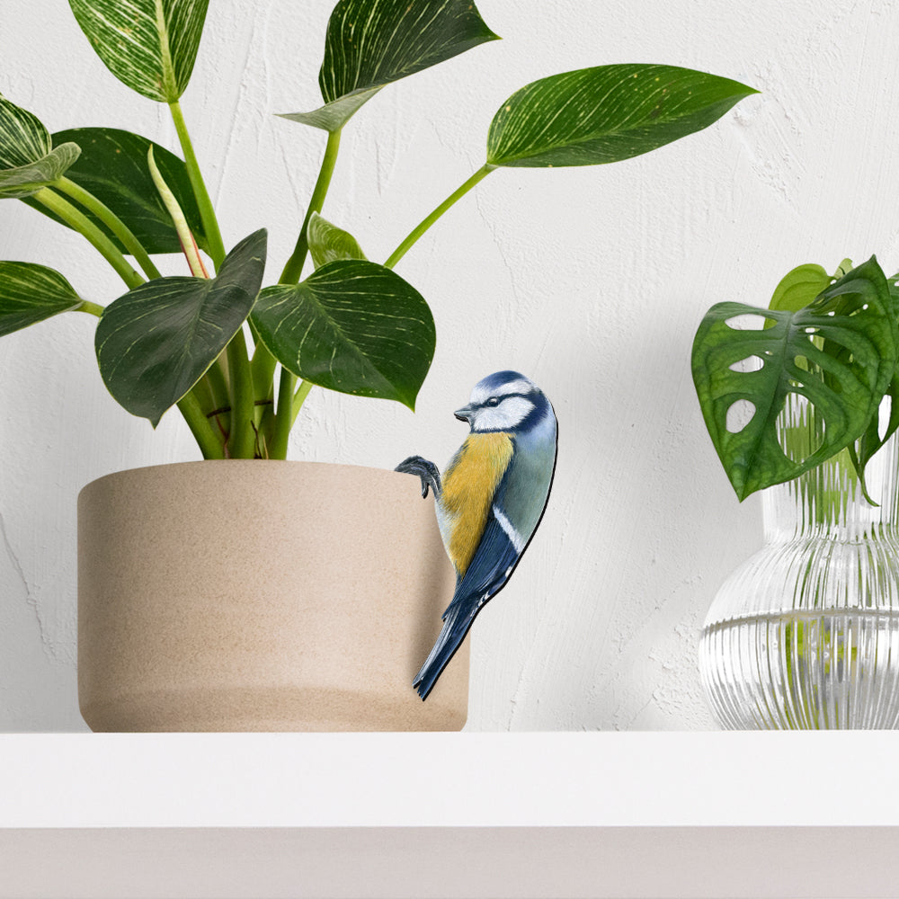 Blue tit plant pot hanger