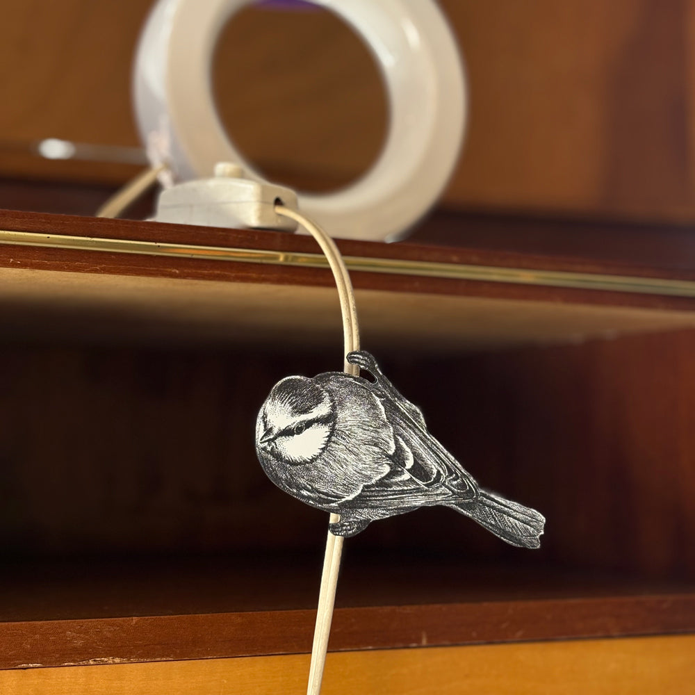 Blue tit clip