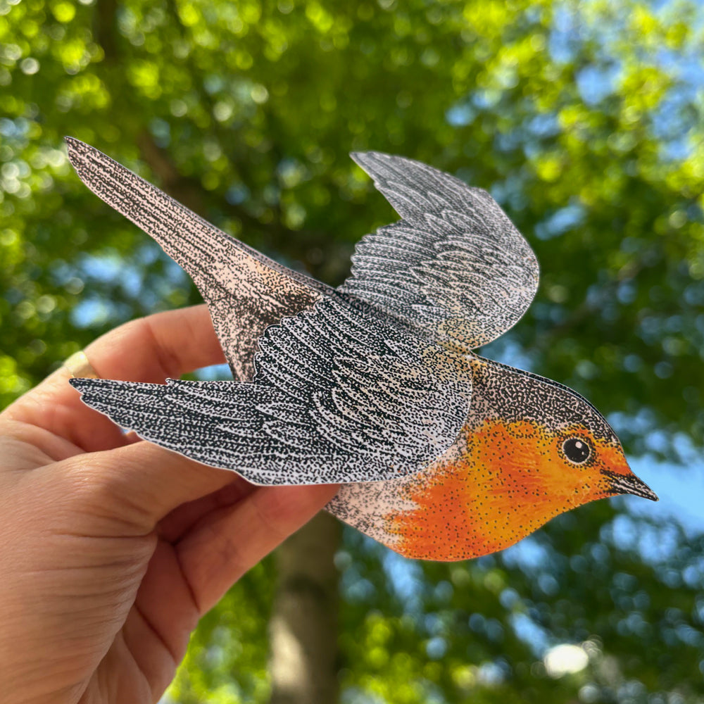 3D Rotkehlchenkarte
