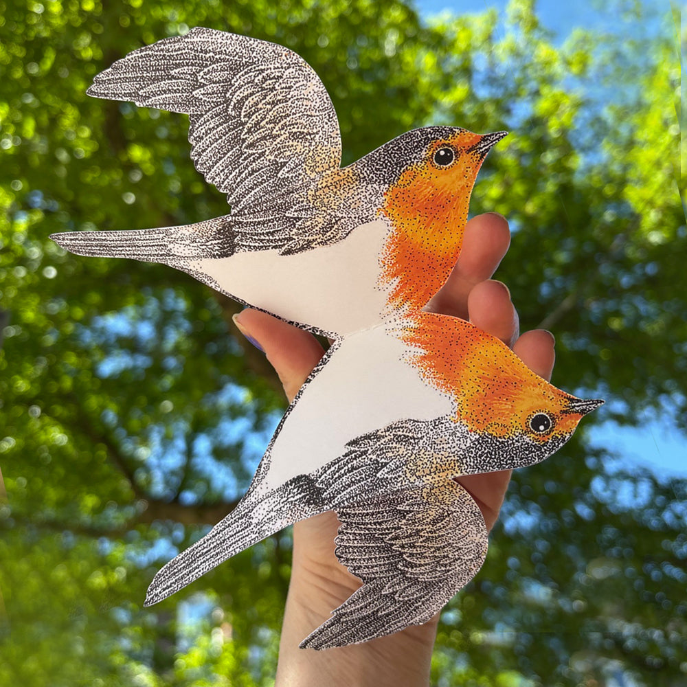 3D Rotkehlchenkarte