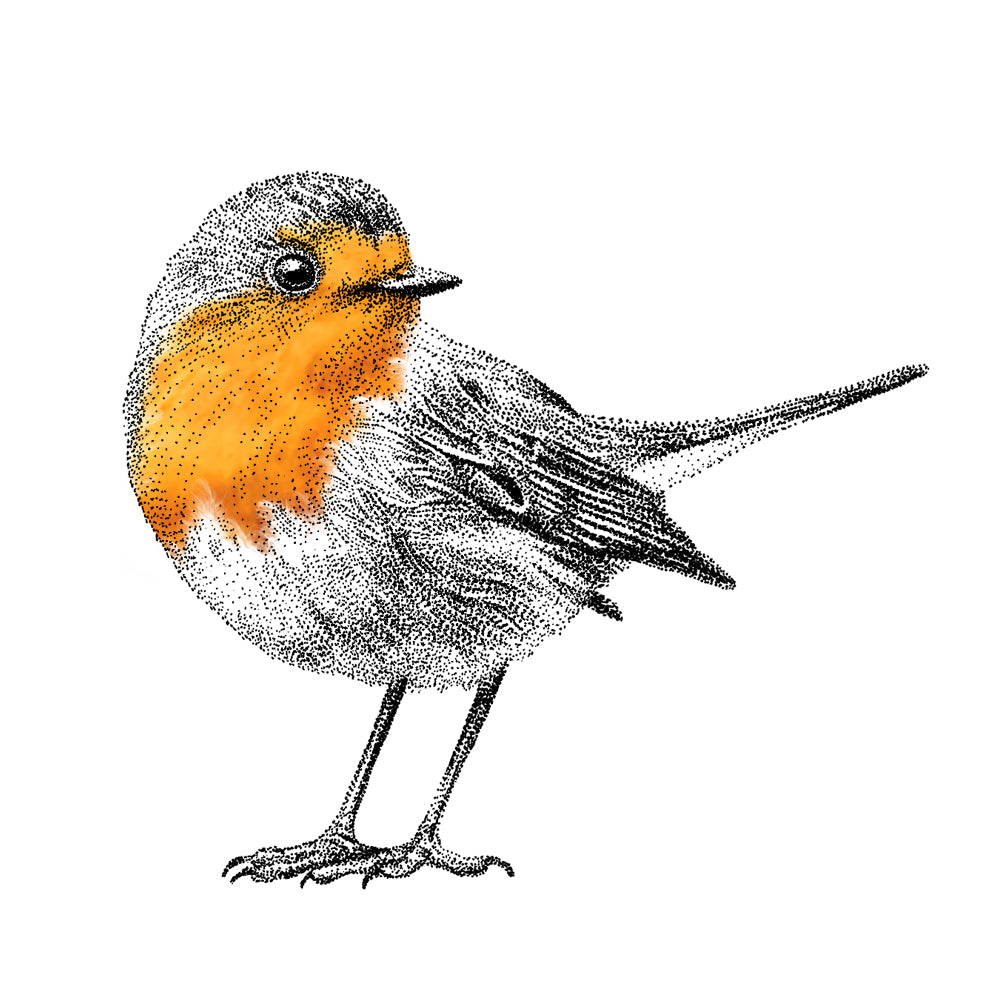 Red robin wall sticker