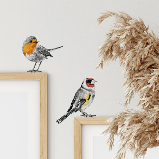 Goldfinch and red robin wall sticker set