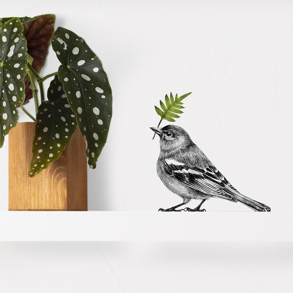 Bird wall sticker set