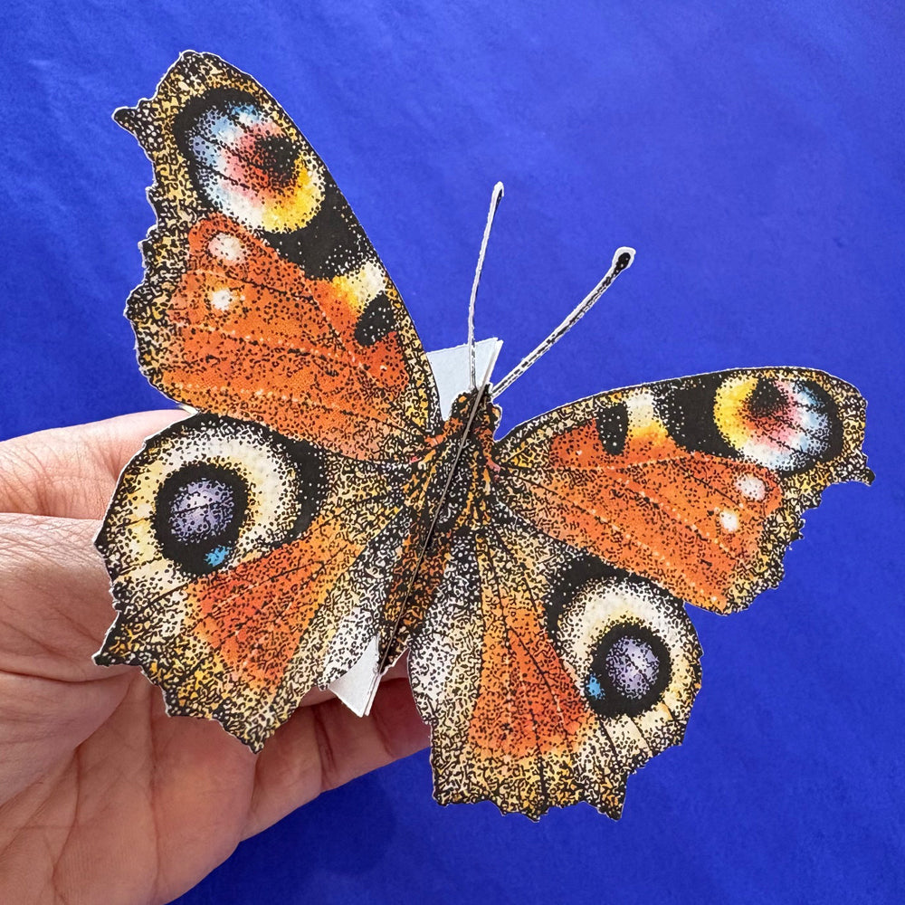 3D Schmetterlingskarte